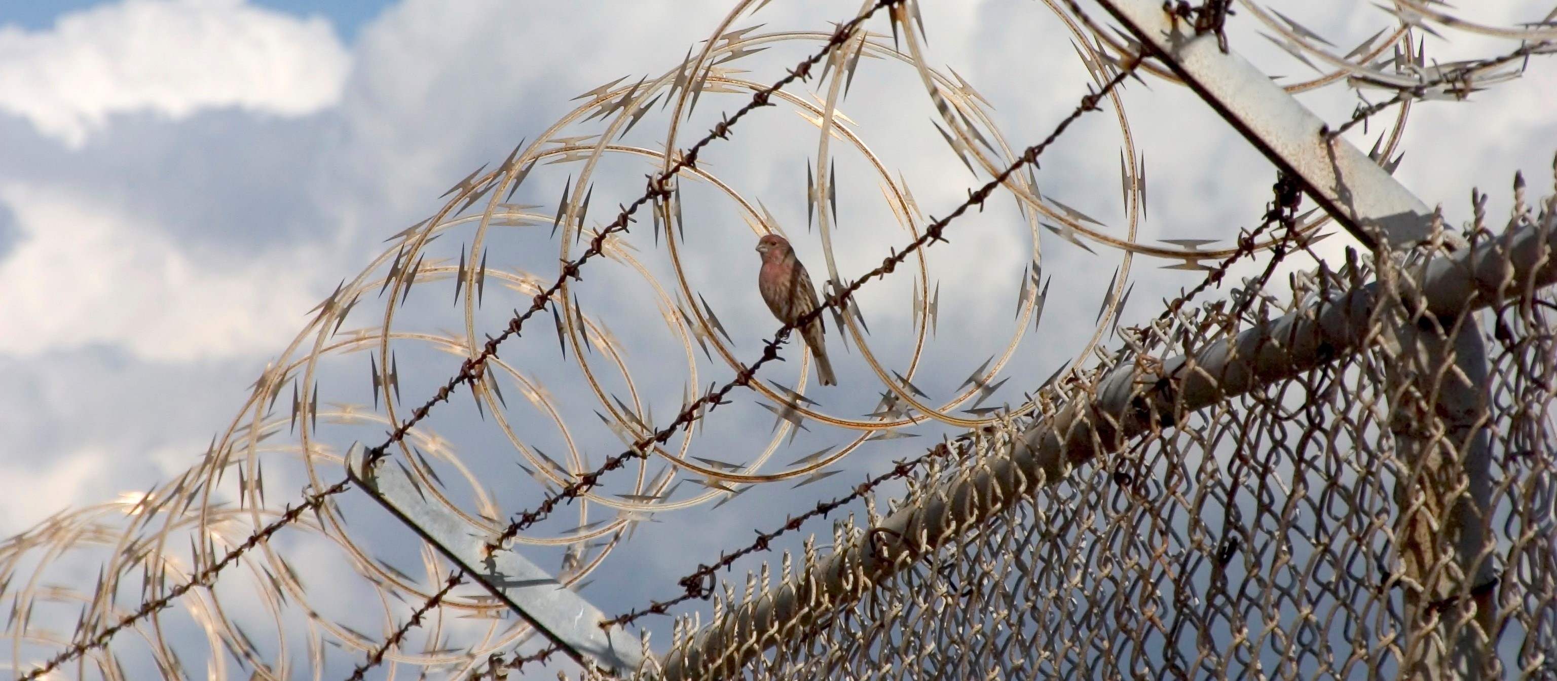 best-books-on-restorative-justice