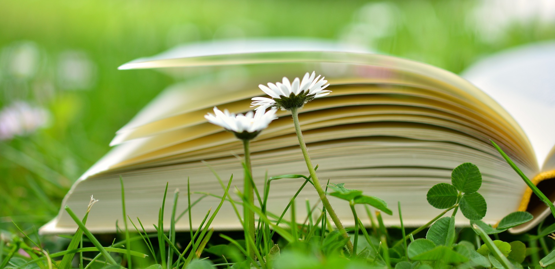 books-on-restorative-justice