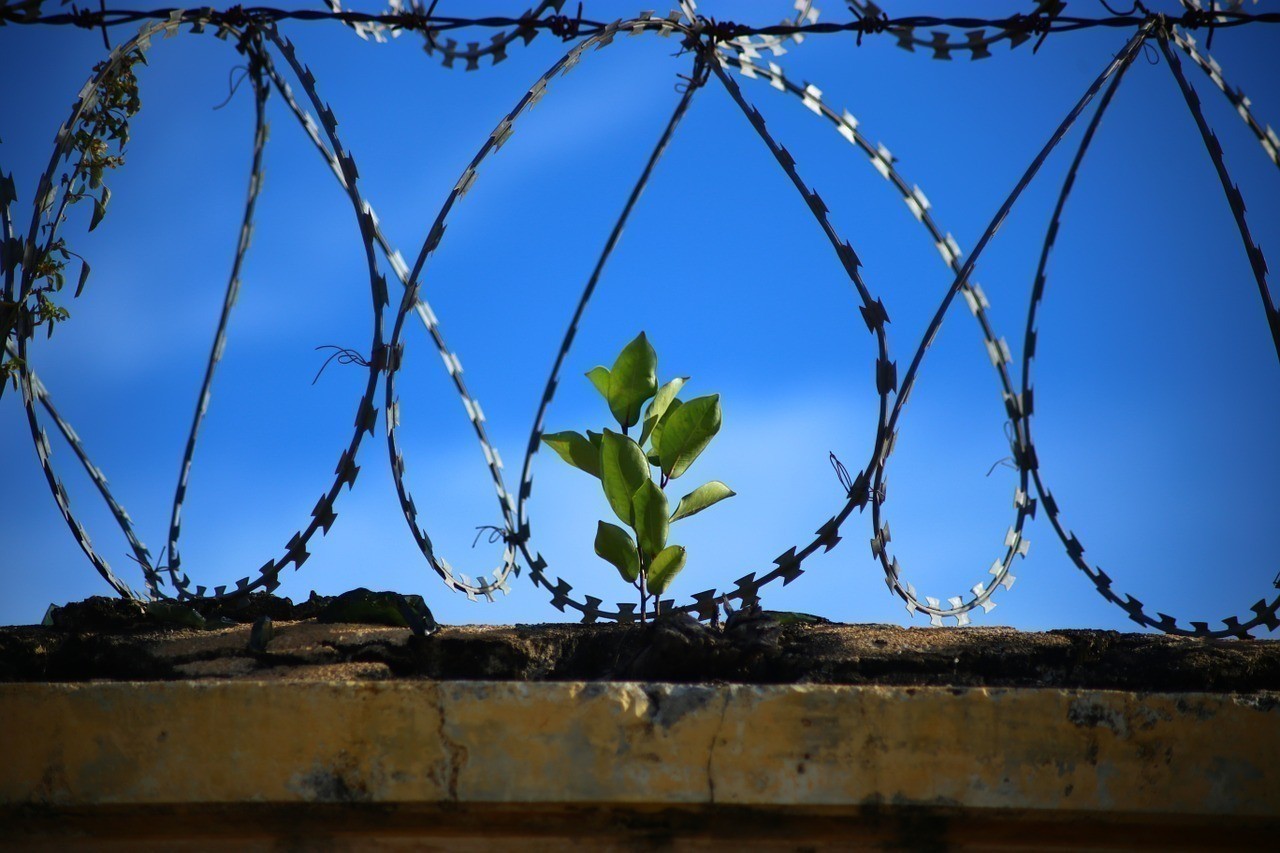 restorative-justice-in-prisons-books